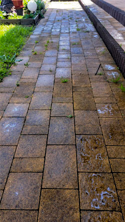 kostka przed umyciem