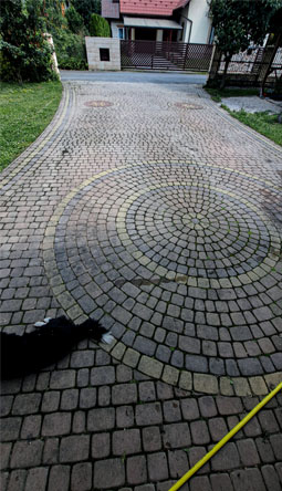 kostka przed umyciem